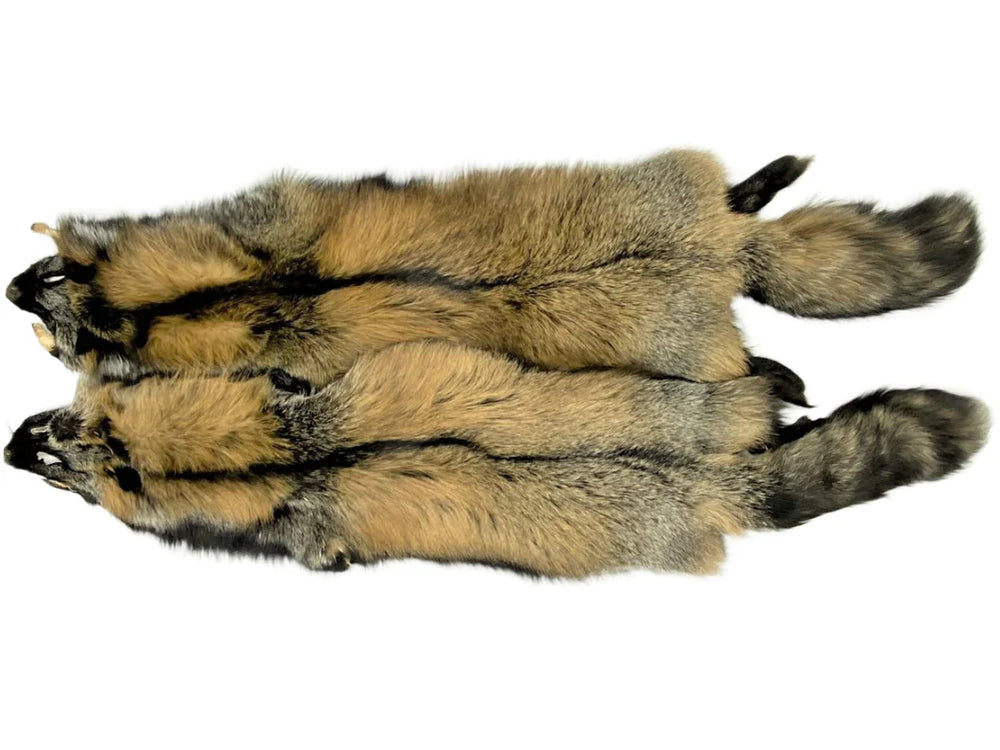 Natural cross fox