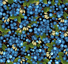 Blueberries 27250 - Black 100% Cotton Designer