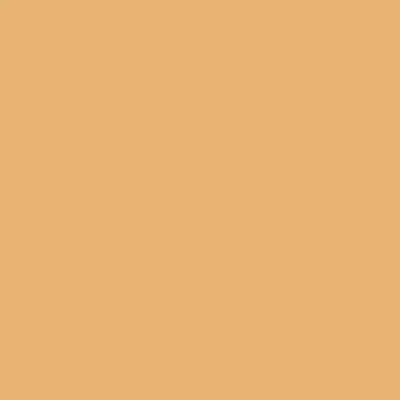 Moose Hide Lace