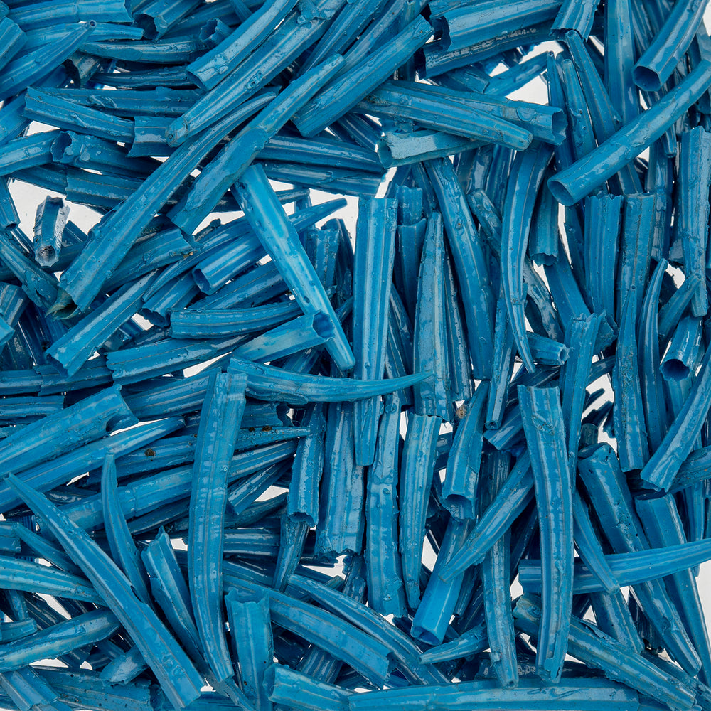 30 g - Dentallium ridged shells 0.5 in to 1 in - Oil Painted