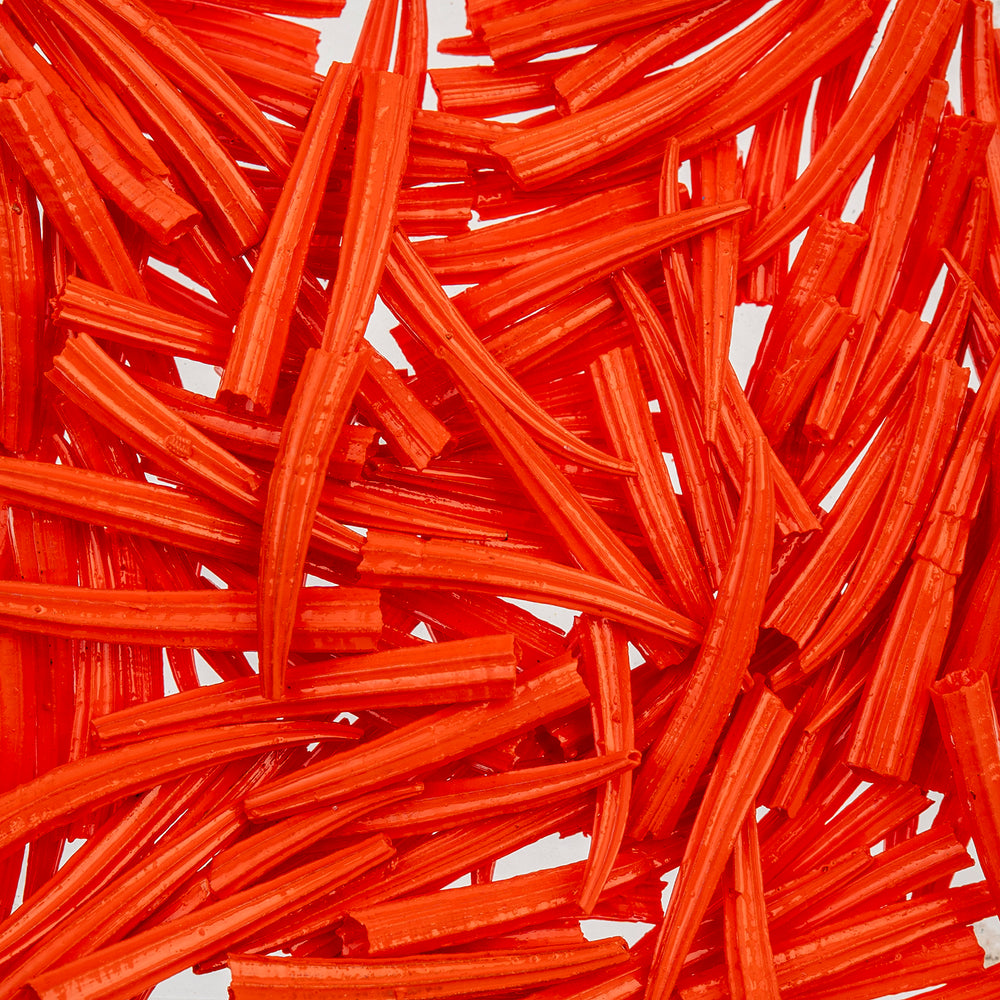 30 g - Dentallium ridged shells 0.5 in to 1 in - Oil Painted
