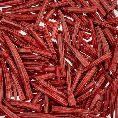 30 g - Dentallium ridged shells 0.5 in to 1 in - Oil Painted