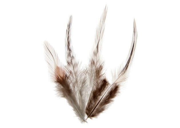 Saddle Hackles Feather · 4 to 6 inch