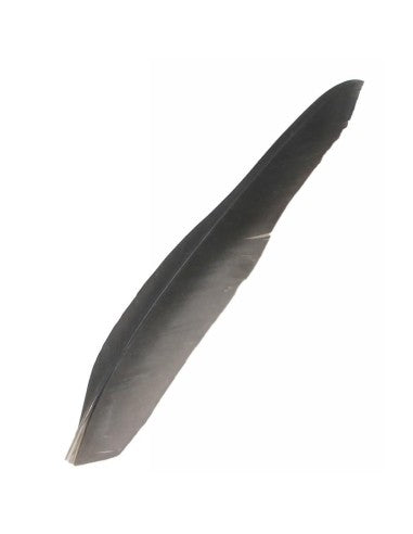 Wild Feathers · Varied selection sold by the gram