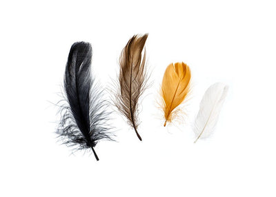 20 g - Plumes de couleur naturelle mélangées · 4 à 6 pouces