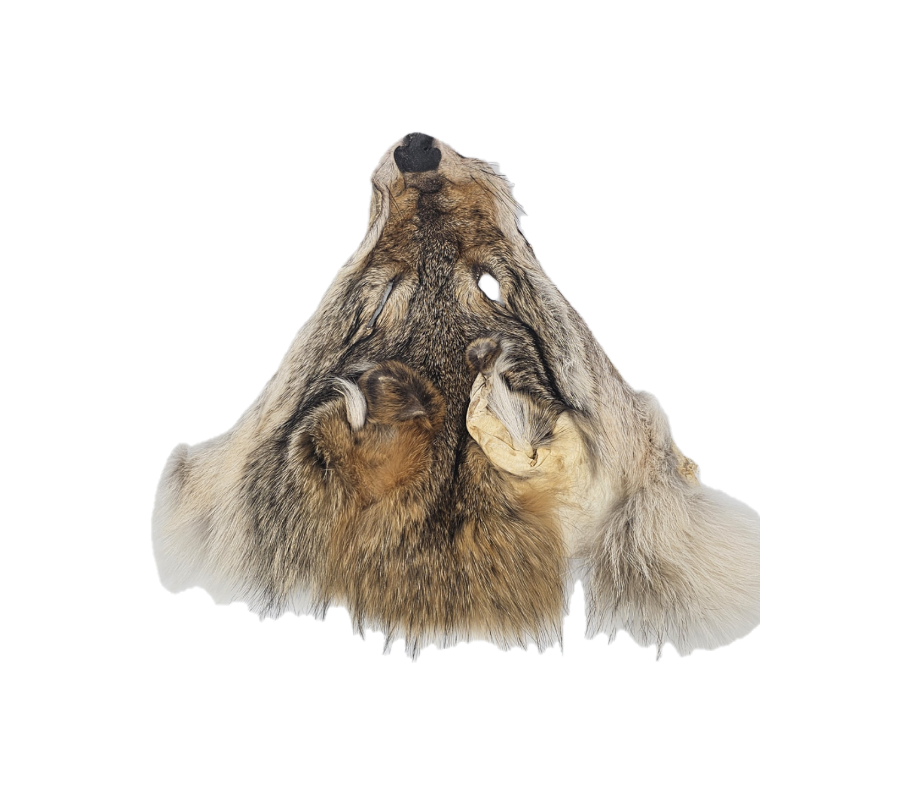 Coyote head Fur