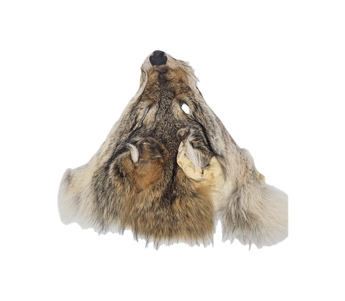 Coyote head Fur