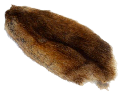 Muskrat